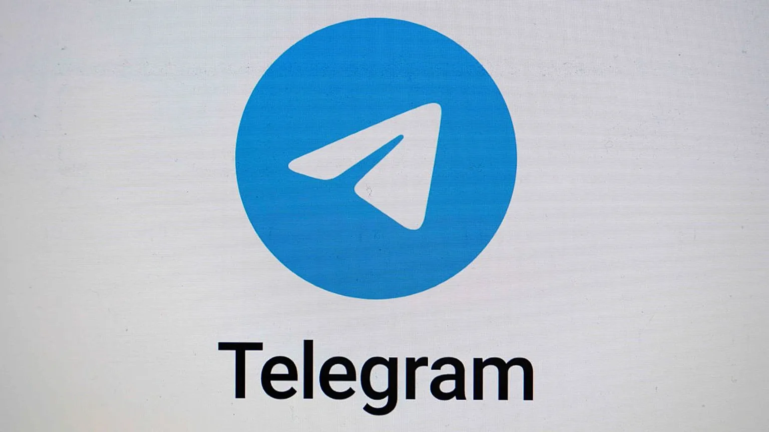 Telegram Survival